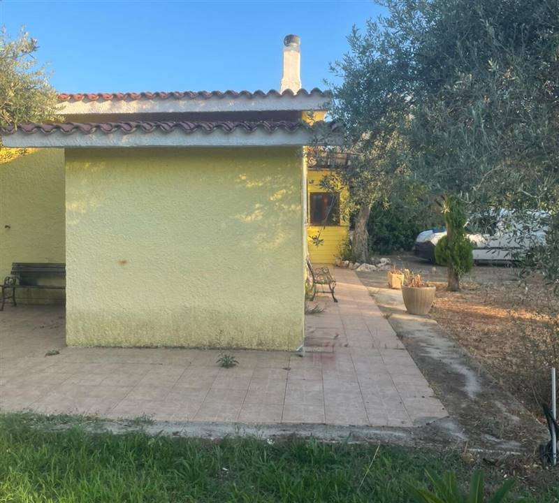 WhatsApp Image 2025-11-12 at 11.29.36 (1).jpeg