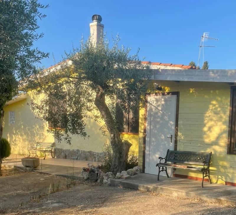 WhatsApp Image 2025-11-12 at 11.29.34 (1).jpeg