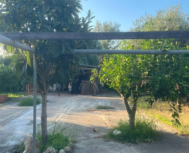 WhatsApp Image 2025-11-12 at 11.29.36 (3).jpeg