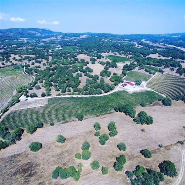 WhatsApp Image 2025-11-14 at 12.09.32 (2).jpeg