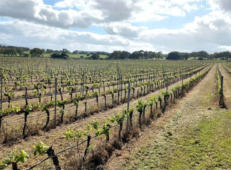 WhatsApp Image 2025-11-14 at 12.08.39 (1).jpeg