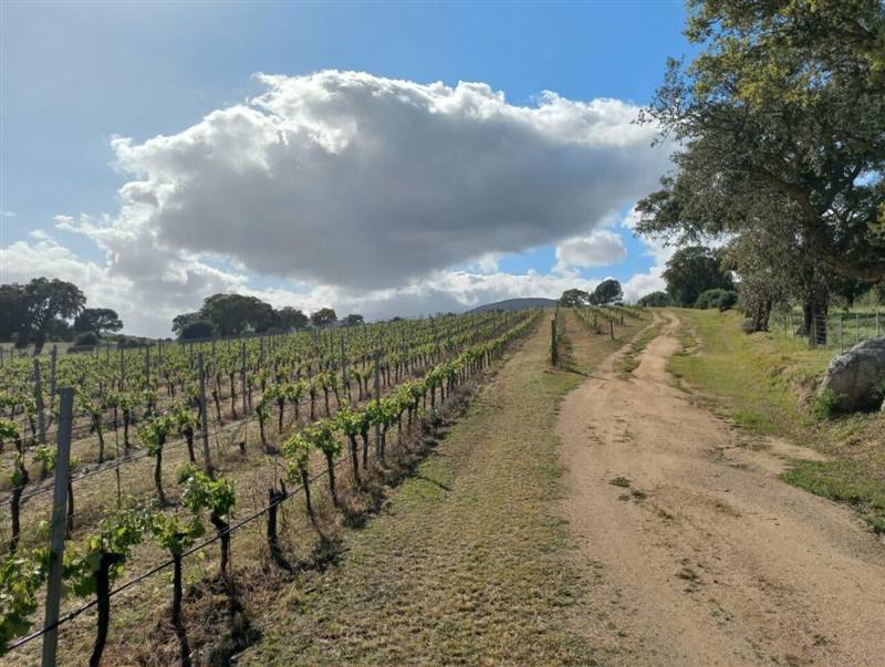 WhatsApp Image 2025-11-14 at 12.08.40 (7).jpeg