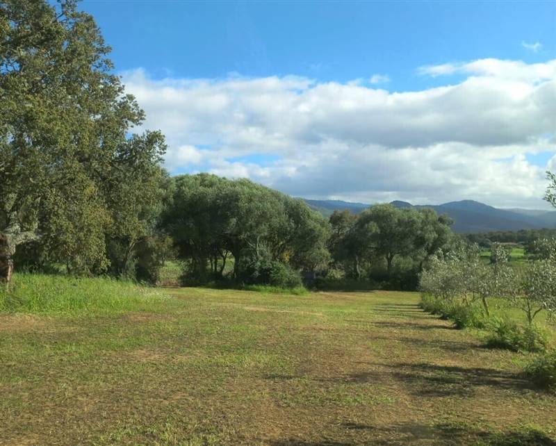 WhatsApp Image 2025-11-14 at 12.08.41.jpeg