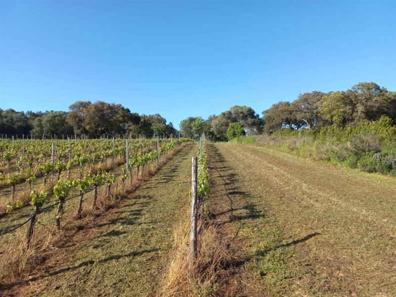 WhatsApp Image 2025-11-14 at 12.08.40 (5).jpeg