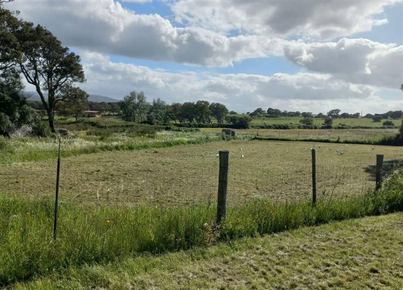 WhatsApp Image 2025-11-14 at 12.08.40 (6).jpeg