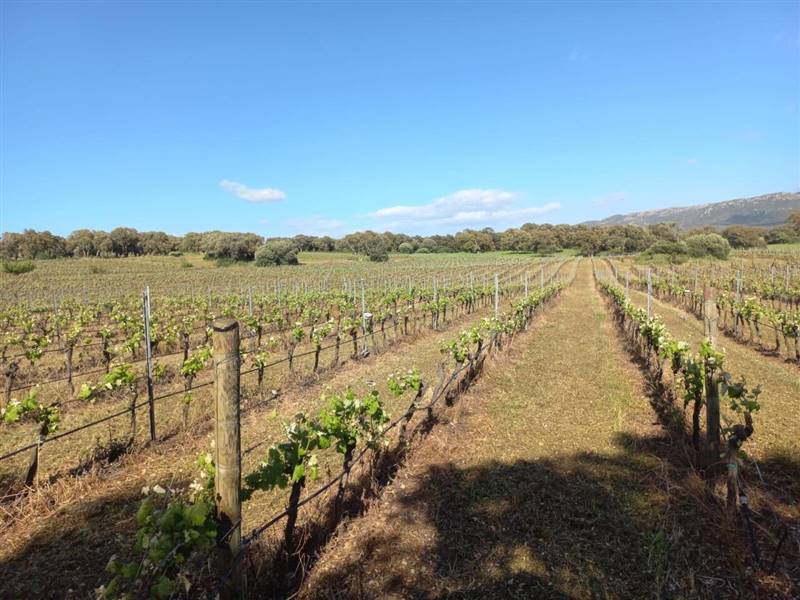 WhatsApp Image 2025-11-14 at 12.08.40 (4).jpeg