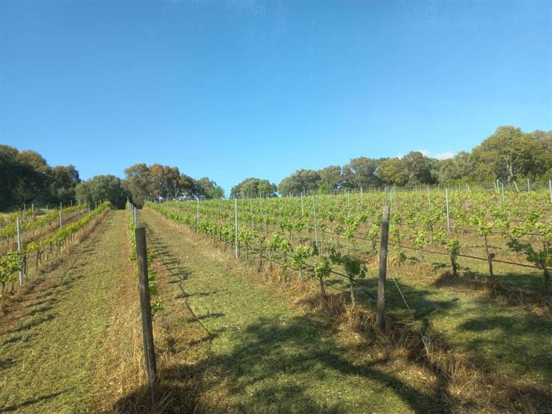 WhatsApp Image 2025-11-14 at 12.08.40.jpeg