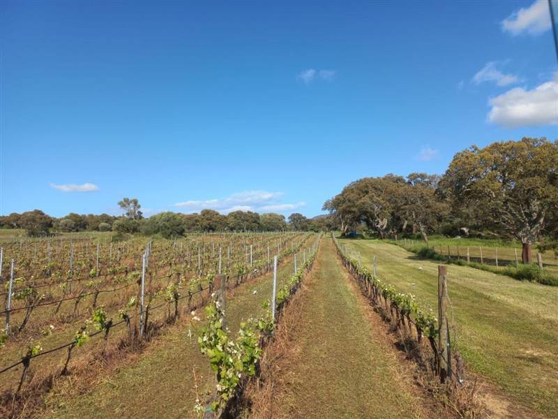 WhatsApp Image 2025-11-14 at 12.08.40 (1).jpeg