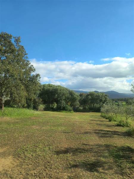 WhatsApp Image 2025-11-14 at 12.08.41 (1).jpeg