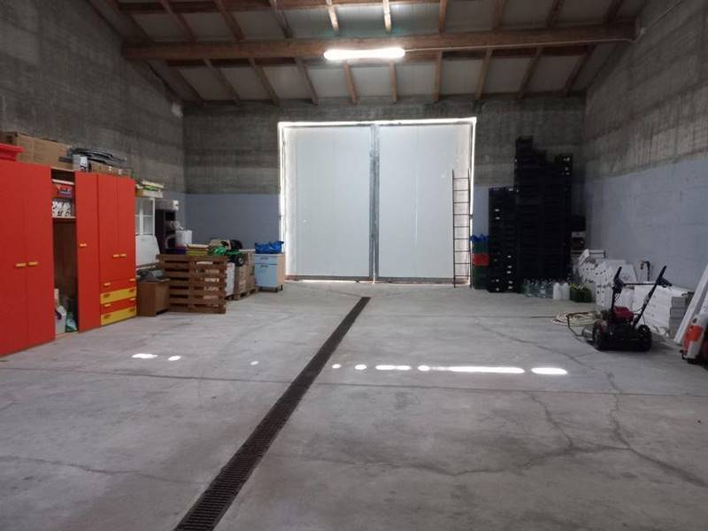 WhatsApp Image 2025-11-14 at 12.09.33 (2).jpeg