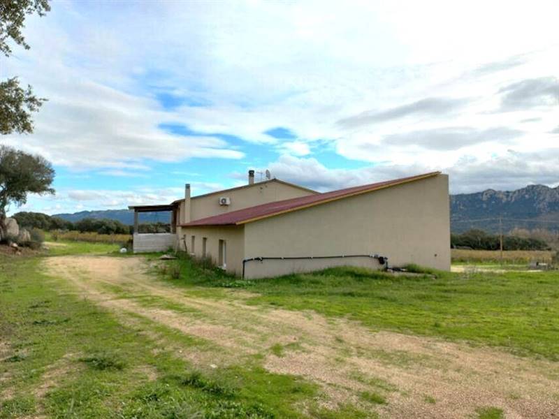 WhatsApp Image 2025-11-14 at 15.25.59 (3).jpeg