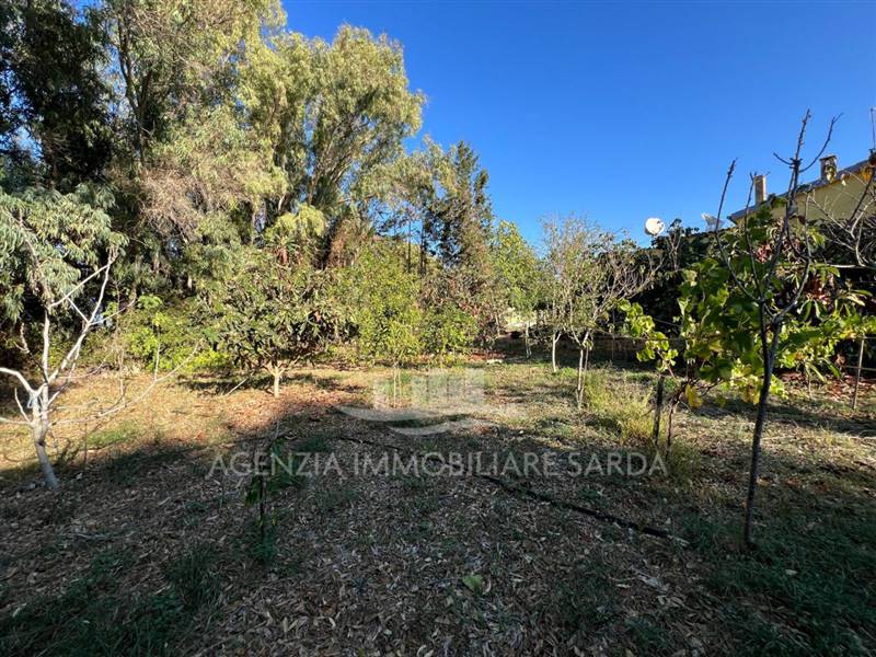 WhatsApp Image 2025-10-21 at 12.06.29 (7).jpeg