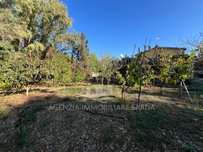 WhatsApp Image 2025-10-21 at 12.06.29 (8).jpeg