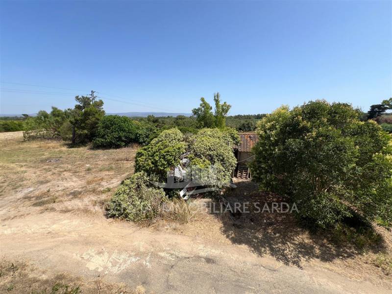 WhatsApp Image 2025-10-14 at 12.03.23 (2).jpeg