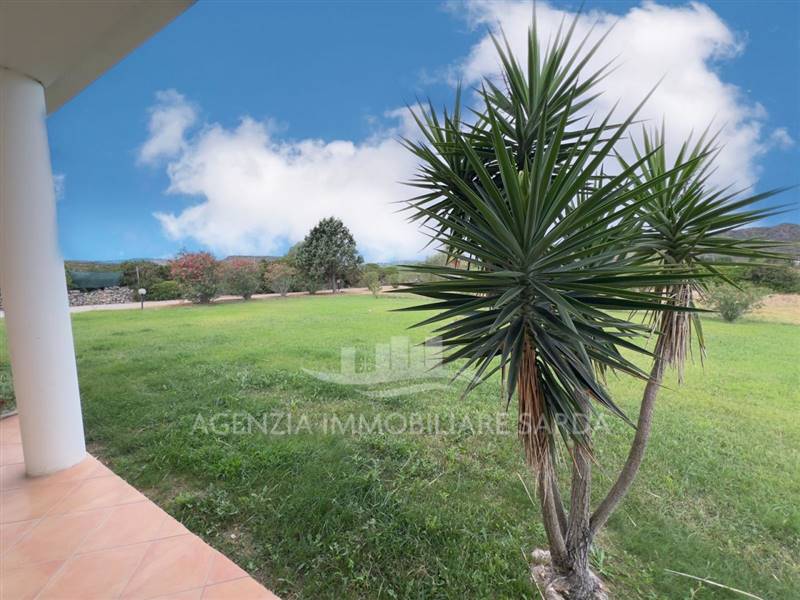 Immagine WhatsApp 2025-08-29 ore 19.04.03_ae060a39