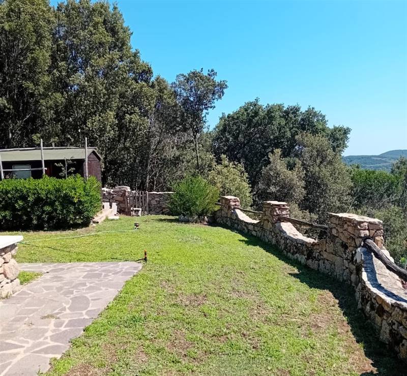 Immagine WhatsApp 2025-08-12 ore 10.18.26_adfefc5d