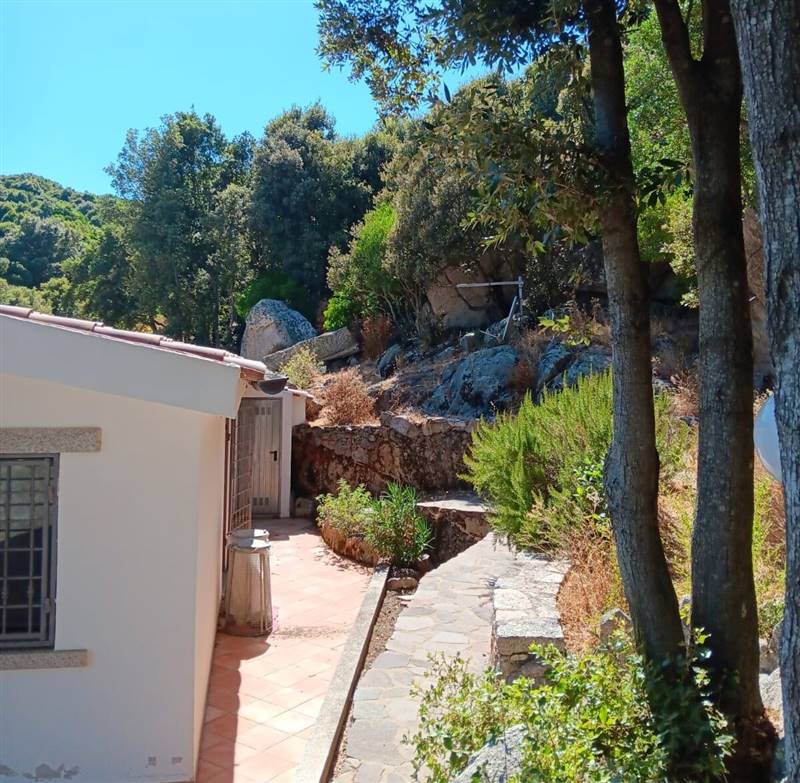 Immagine WhatsApp 2025-08-12 ore 10.18.27_9b9b82a8