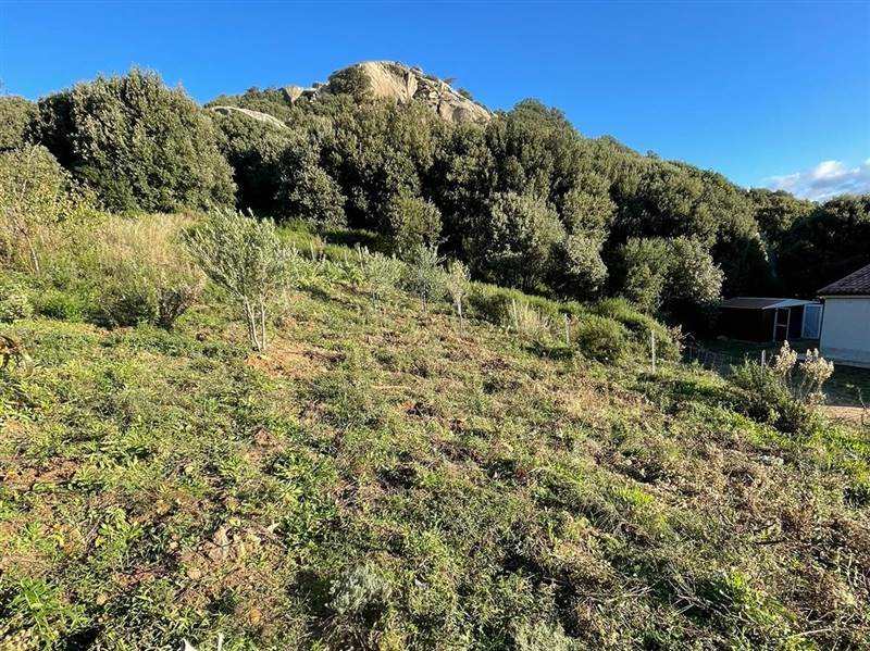 Immagine WhatsApp 2025-08-12 ore 10.18.29_abecebb2