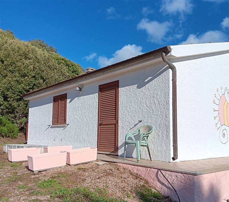 Immagine WhatsApp 2025-08-12 ore 10.18.04_092bc0e6