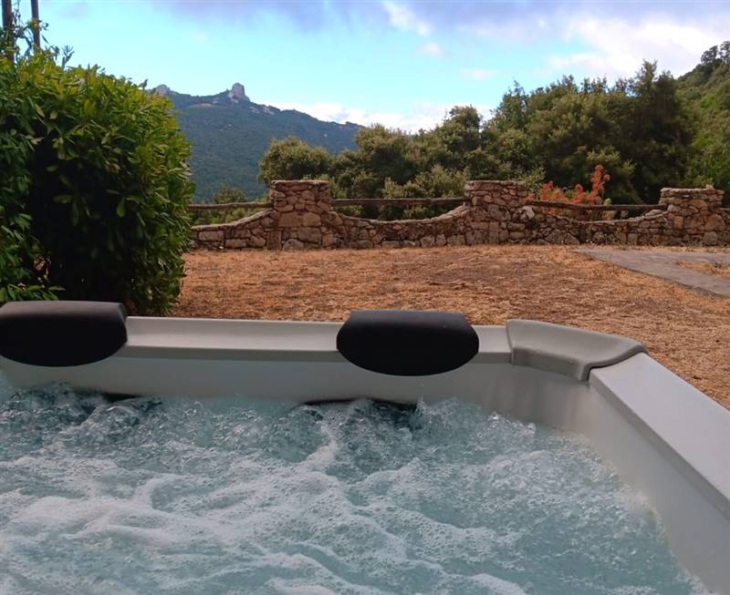 Immagine WhatsApp 2025-08-12 ore 10.18.22_fef83bec