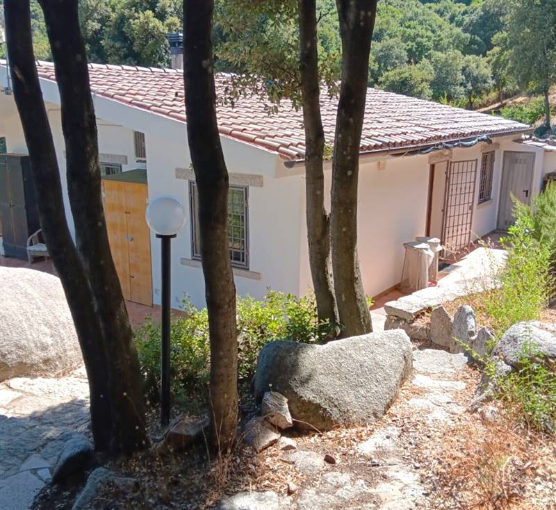 Immagine WhatsApp 2025-08-12 ore 10.18.25_e46e6156