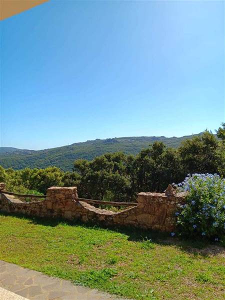 Immagine WhatsApp 2025-08-12 ore 10.21.47_a6713ab8