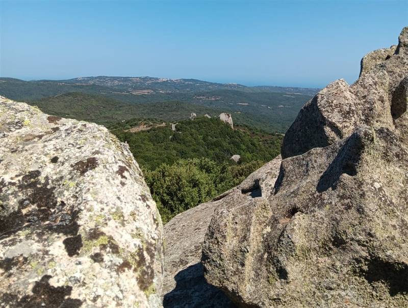 Immagine WhatsApp 2025-08-12 ore 10.18.11_ebb2b833