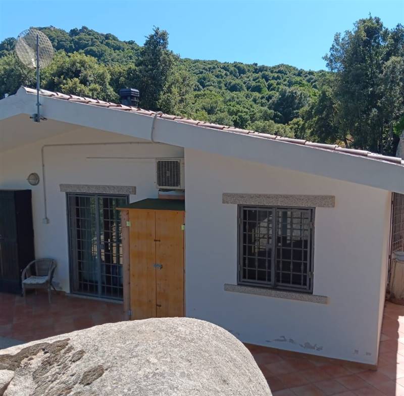 Immagine WhatsApp 2025-08-12 ore 10.18.26_08f7716e