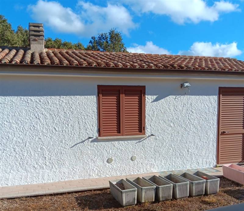 Immagine WhatsApp 2025-08-12 ore 10.17.26_99a4e7eb