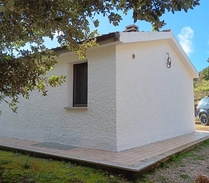 Immagine WhatsApp 2025-08-12 ore 10.17.36_4c8942fc