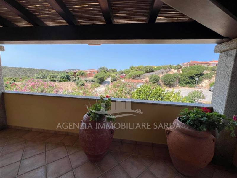 Immagine WhatsApp 2025-08-07 ore 15.01.23_b7280da8