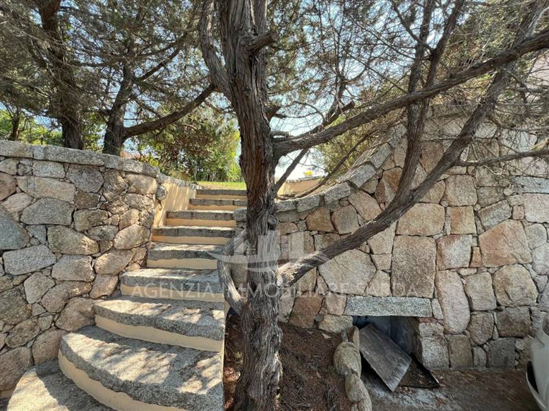 Immagine WhatsApp 2025-08-07 ore 15.01.23_0d3c0802