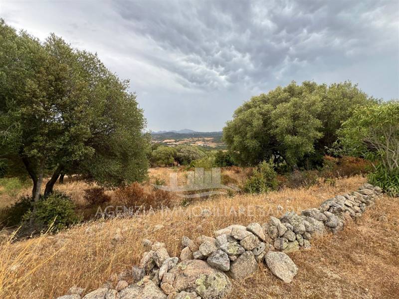 WhatsApp Image 2025-11-07 at 17.24.59 (8).jpeg