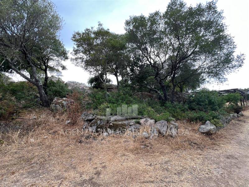 WhatsApp Image 2025-11-07 at 17.25.01 (10).jpeg