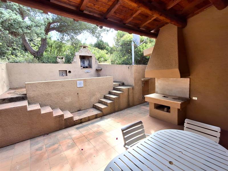 20250529_101307 Patio cop e scop.jpg