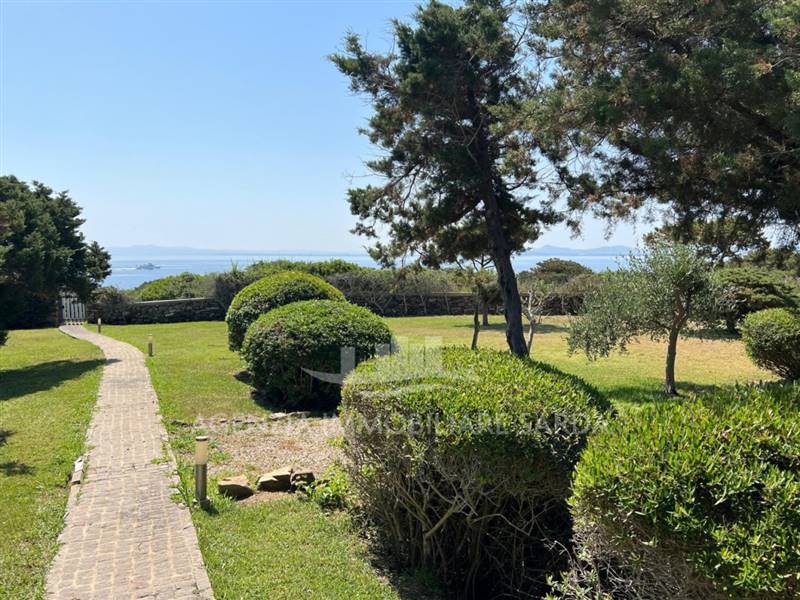 Immagine WhatsApp 2025-06-19 ore 17.00.28_7df84e80