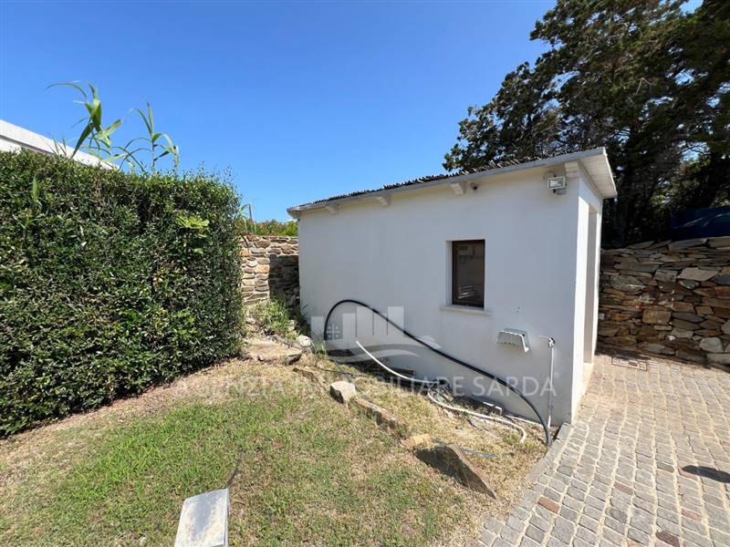 Immagine WhatsApp 2025-06-19 ore 17.00.28_4cd9732b