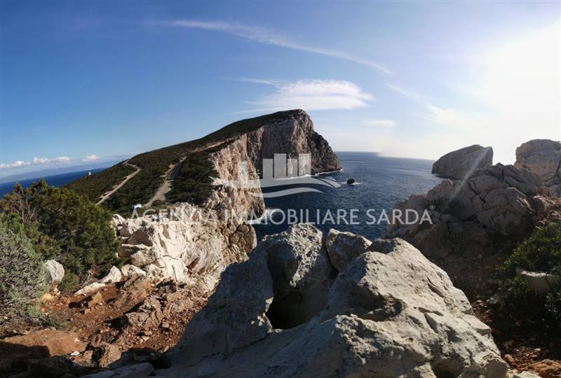 WhatsApp Image 2025-12-16 at 14.46.23.jpeg