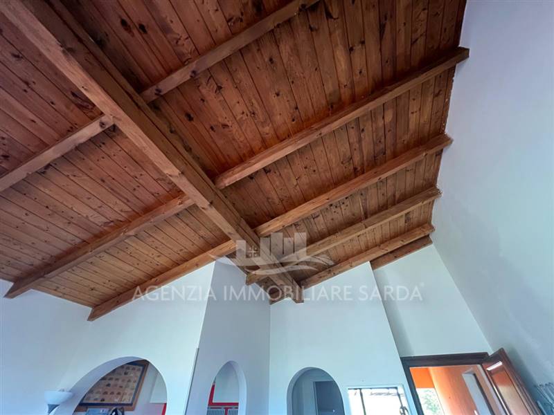 Immagine WhatsApp 2025-07-15 ore 11.52.06_4ecc9dc2