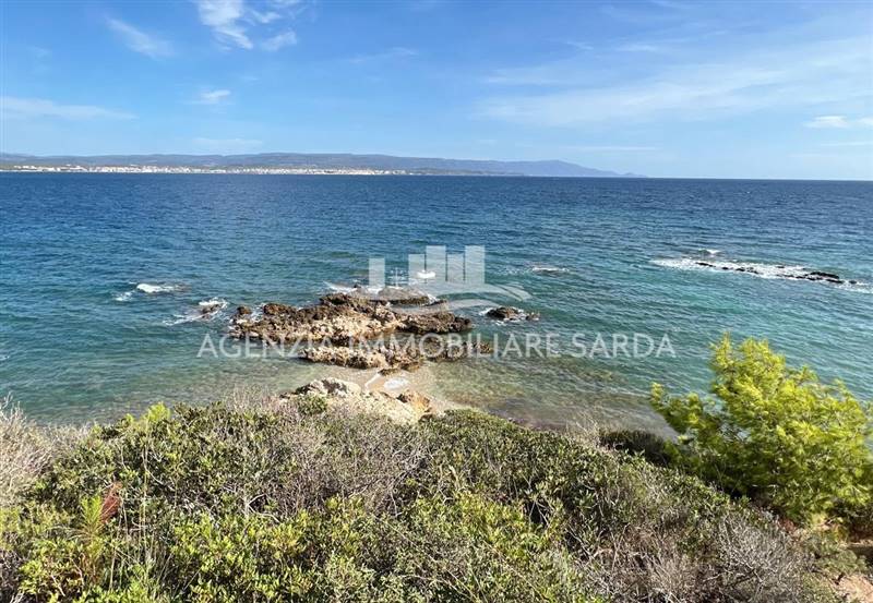 WhatsApp Image 2025-12-16 at 14.46.23 (4).jpeg