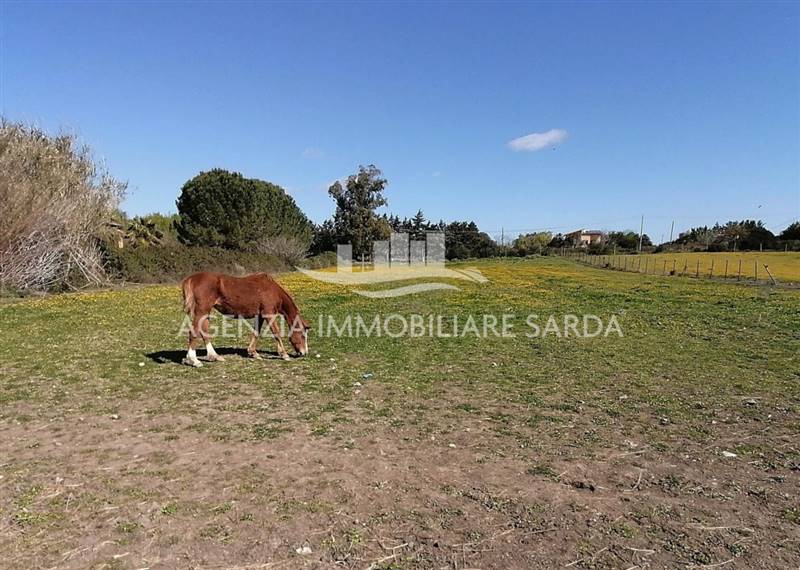 WhatsApp Image 2025-12-16 at 14.46.22 (4).jpeg