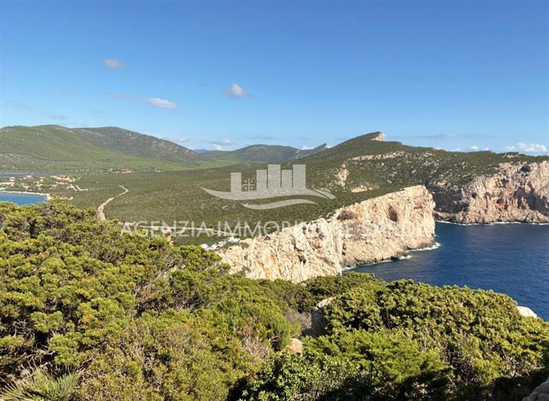 WhatsApp Image 2025-12-16 at 14.46.23 (6).jpeg