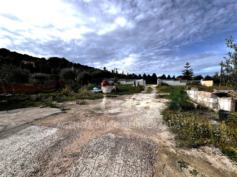 Immagine WhatsApp 2025-05-22 ore 09.12.29_1075602b