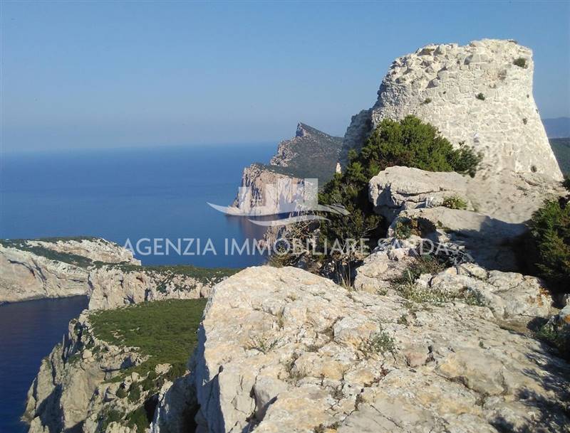 WhatsApp Image 2025-12-16 at 14.46.22.jpeg