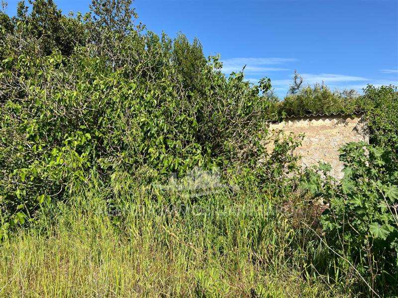 Immagine WhatsApp 2025-04-23 ore 11.02.51_5563ed83