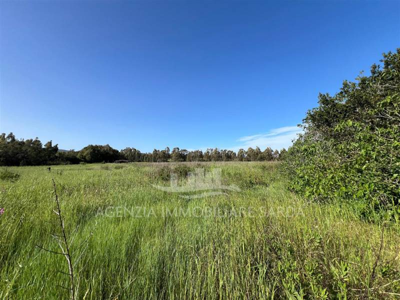 Immagine WhatsApp 2025-04-23 ore 11.02.51_bd491048