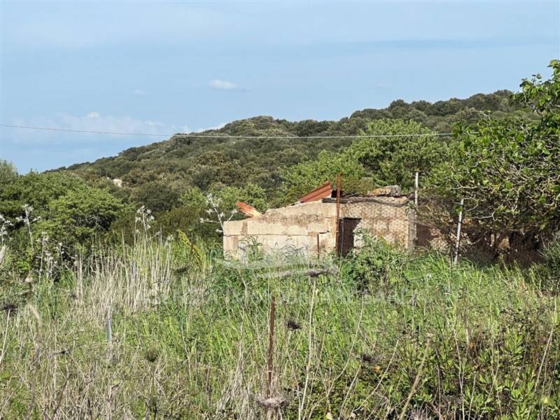 Immagine WhatsApp 2025-04-23 ore 11.02.51_6b2204dc