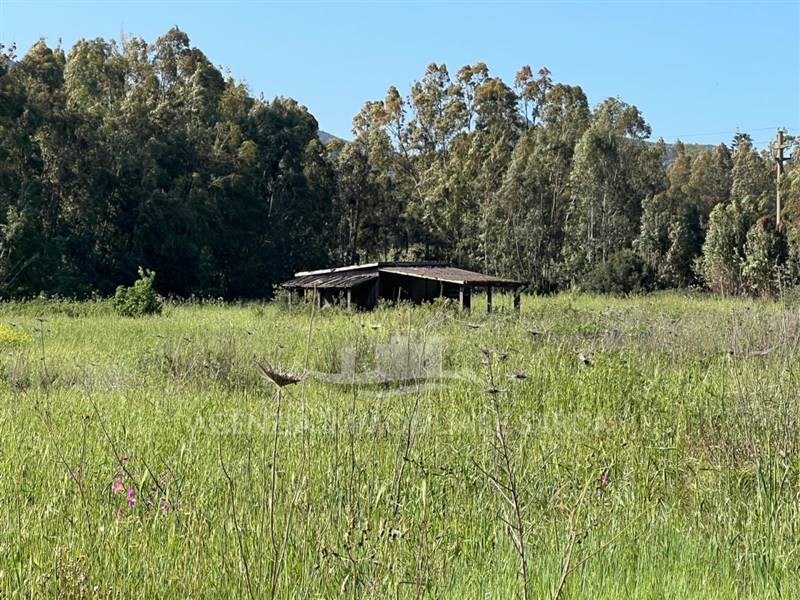 Immagine WhatsApp 2025-04-23 ore 11.02.51_a9ecb07d