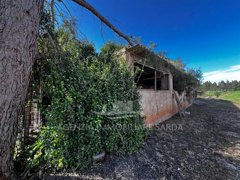 Immagine WhatsApp 2025-04-23 ore 11.02.51_2666930a