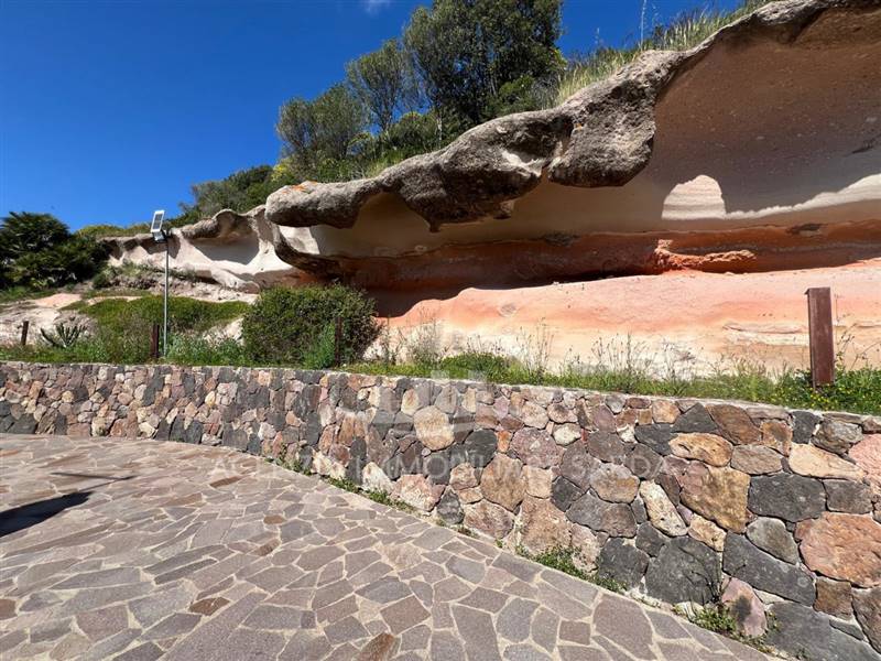 Immagine WhatsApp 2025-04-15 ore 11.14.15_3f8621b1